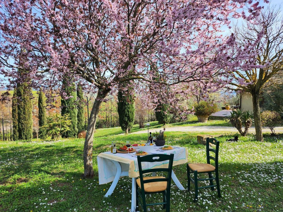 Agriturismo Lucertola Montecatini Val di Cecina Exterior foto
